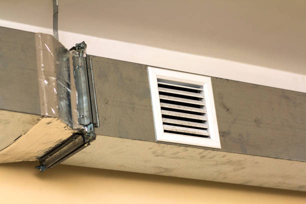 Best Air Duct Sanitizing Services  in Hopkins, MN